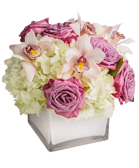 Composizione di Rose Rosa e Ortensie Bianche