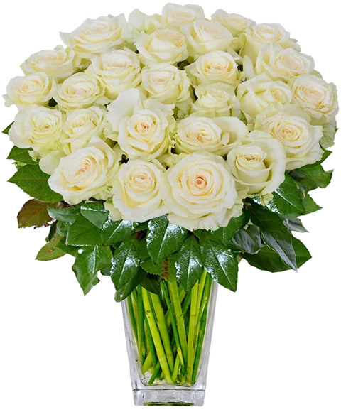 Bouquet di Rose Bianche
