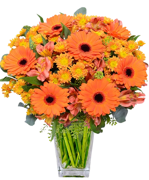 Bouquet gerbere toni arancio
