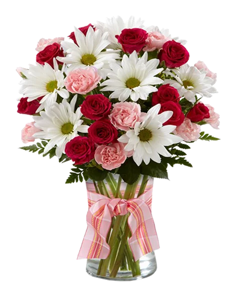 Bouquet di margherite bianche
