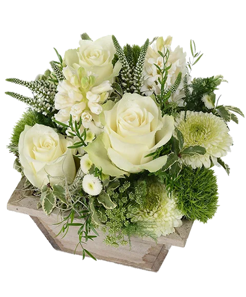 Composizione Elegante di Rose Bianche