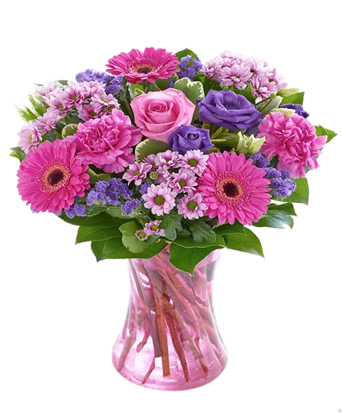 Composizione Fucsia, Rosa, Viola, Lilla