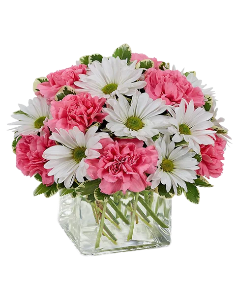 Composizione toni Bianco e Rosa