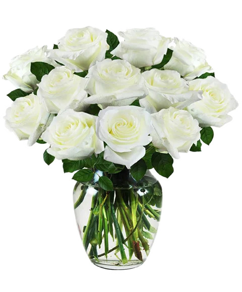 Bouquet 12 Rose Bianche