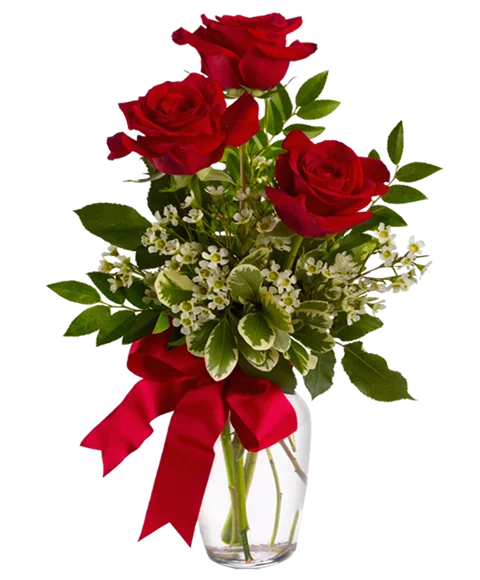 Tre Rose Rosse Confezione Elegante